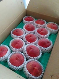 山梨から桃が届きました 2017/07/17 21:16:12