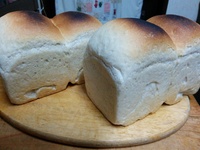 明日の朝食用のパン

今回… 2019/03/08 20:01:12