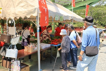 ほおずき市に行ってきました