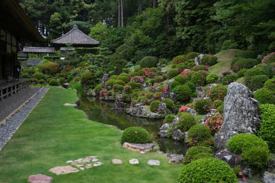 サツキの花が見ごろです☆