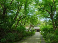 引佐町で花と緑とグルメを満喫☆彡