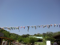 あらさわ公園♪