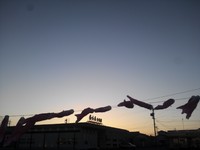 お天道様♪