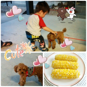 BBQ♪