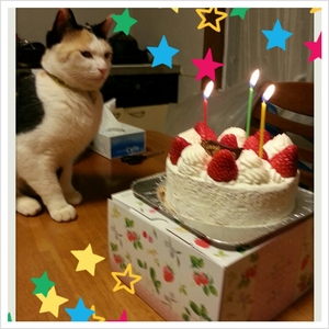 メリークリスマス♪
