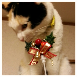 メリークリスマス♪