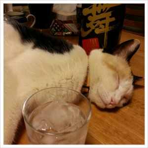 晩酌のお付き合い♪