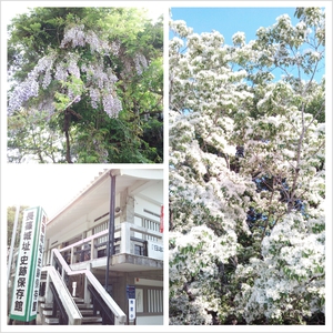 城跡