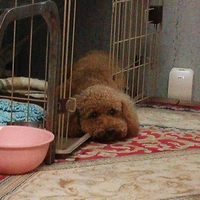 バブちゃん♪