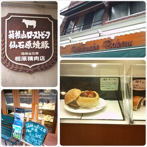 エクシブ 箱根離宮