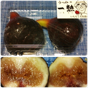頂き物☆