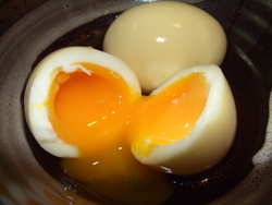 おくらばせながら・・・。