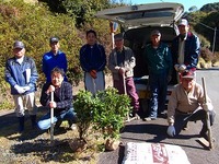 ツツジ植樹