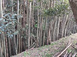 4/20～22事前準備　猫の手