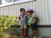 9月15日 ぴよぴよ 2011/09/19 13:29:47