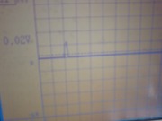 じーーーっと待って出てくれました！