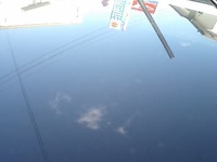 花粉がががが＞＜
