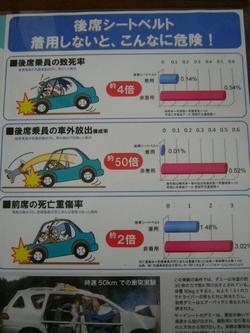 後席もシートベルトしめましょうね