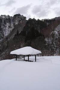 中国地方、また大雪の恐れ＝北海道は暴風警戒を―気象庁 2011/01/05 21:28:53