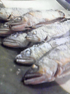 鮎の塩焼き