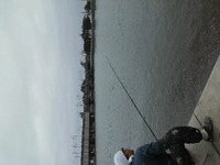 浜名湖 2010/10/20 12:50:26