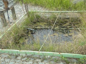 ひょうたんの会♪