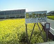 久しぶり☆ 2008/03/27 13:21:13