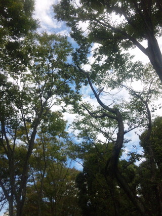 〜空〜