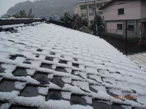 雪景色