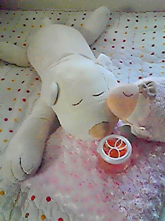眠りの為の癒し