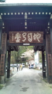 お花見日和