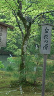 金閣寺へ♪