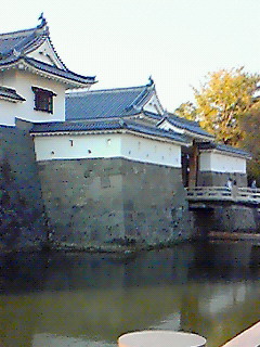 駿府公園