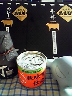 鹿児島から