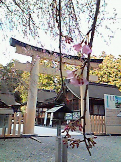 早すぎた