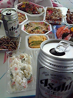 お花見　佐鳴湖
