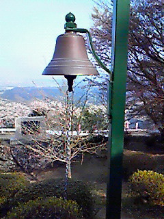 粟ヶ岳の桜