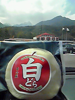 駒が岳SA
