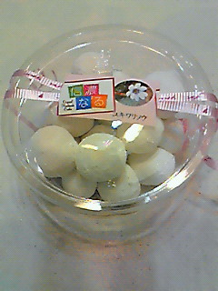諏訪湖SA