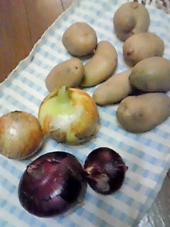 とれたて野菜