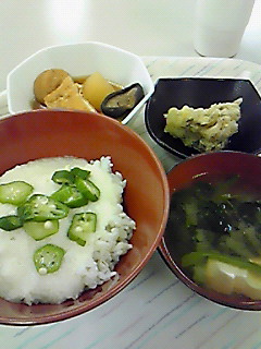 メタボ予防メニュー
