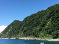 海
