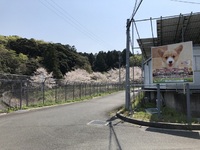 利益追求型では・・・ 2020/04/04 15:00:13