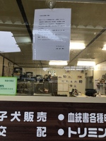お願い 2020/03/31 05:16:54