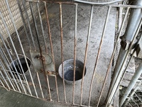 ブータン去る 2020/02/02 06:56:12