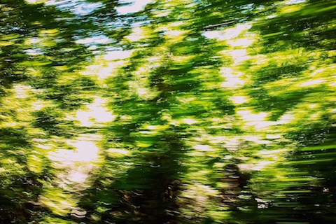 夏の匂い