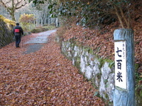 美しき日本を走ろう、歩こう　恵那「銀の森」と岩村城址 2012/12/27 18:21:36
