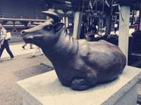 お参り三昧 2015/08/14 08:38:57