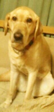カメラ目線？(笑) 2013/04/08 15:46:01
