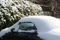 初積雪。